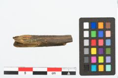 Foto von Holzbruchstücke (NHMW-PRAE-026877)